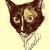 Awesome cat portrait drawn by Gilles Vranckx