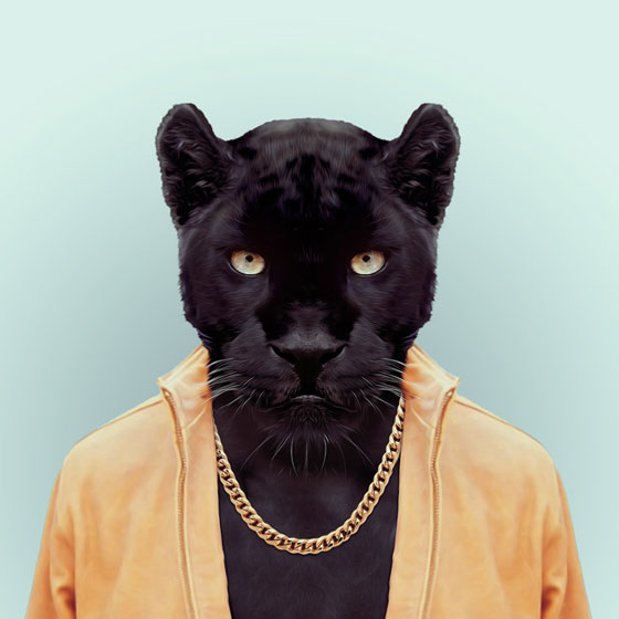 Zooportraits by Yago Partal