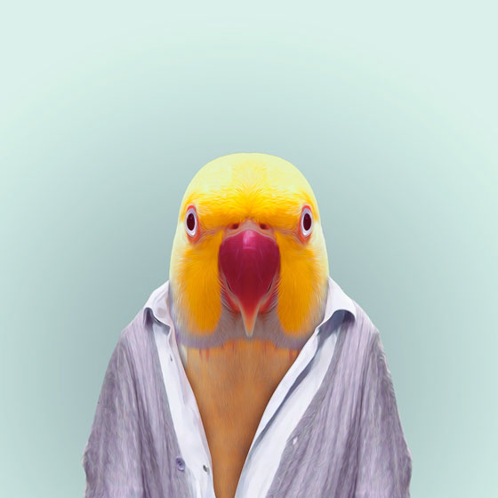 Zooportraits by Yago Partal
