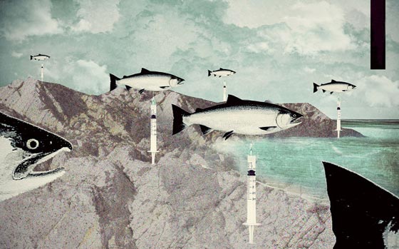 Editorial collages illustrations by Chiara Lanzieri