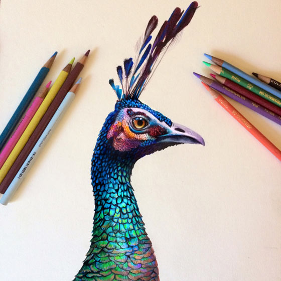 Hyper-realistic colored pencil portraits by Morgan Davidson