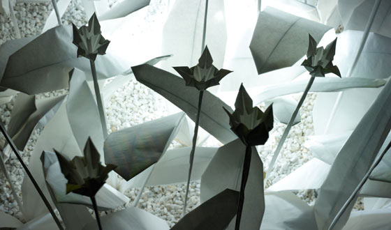 Paper Garden by Anouk Vogel