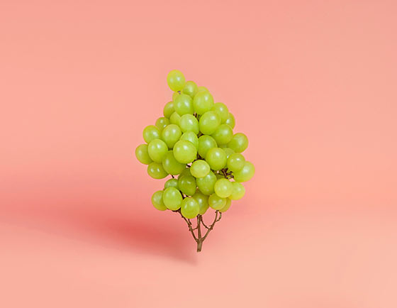 Playful food compositions by Marion Luttenberger