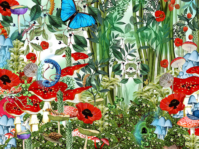 Botany illustrations and pop-up by Bozka