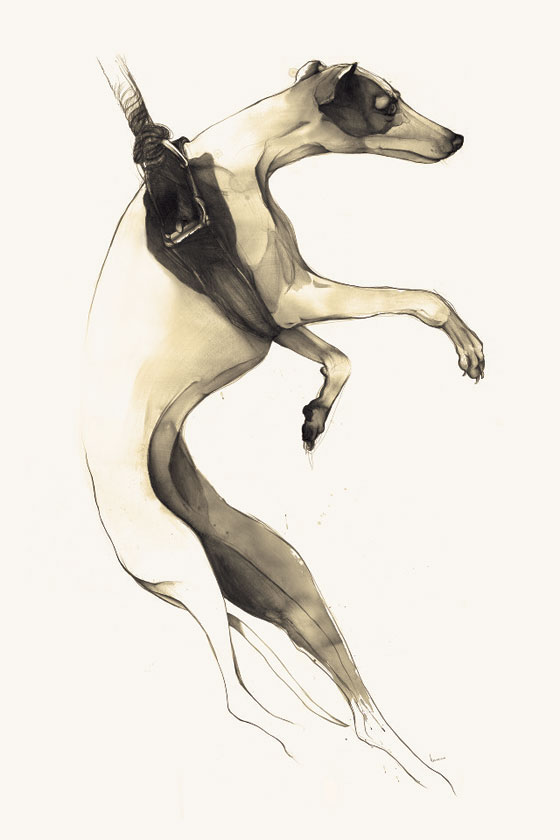 dog drawing by Kareena Zerefos
